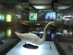 -陕西自然博物馆