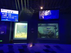 -石家庄海洋公园