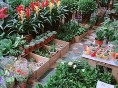 -秦美花卉(天朗·莱茵小城2期店)