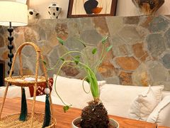 -山与蓝·轻糖鲜果蛋糕(勒泰店)
