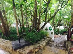 -100蛋泥浆浴
