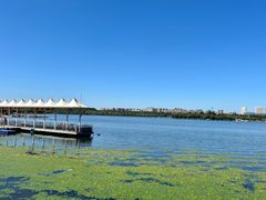 -长春市南湖公园