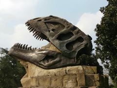 -自贡恐龙博物馆