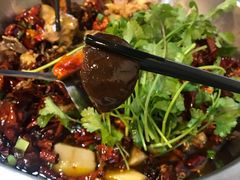 蘑菇-天治宣·野椒鸡(龙头寺总店)