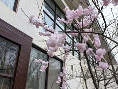 -国御温泉度假小镇