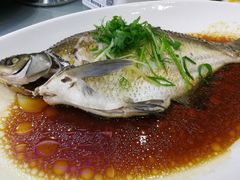 清蒸金雕鱼-新苑酒家(嘉宾路店)