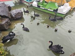 -无锡动物园·太湖欢乐园