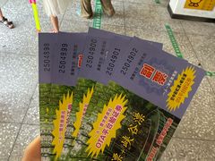 -大围山国家森林公园