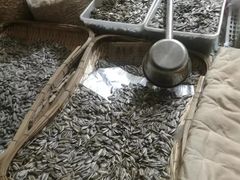 -优农果园(苹果园店)