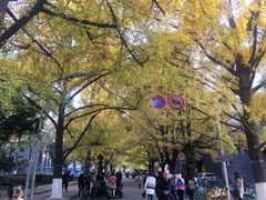 -四川大学(华西校区)