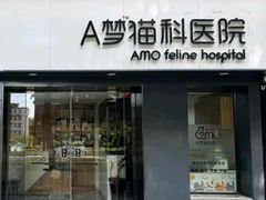 -御宝贝·A梦猫科宠物医院(国际猫友好医院)