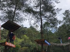 -梦幻奥陶纪景区