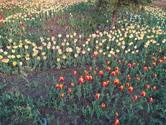 -长春公园(普阳街道)