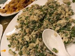 -河源万绿湖美思威尔顿酒店