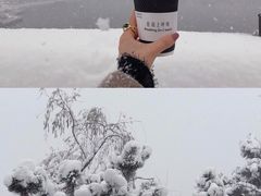 -莫内艺术岛海景咖啡