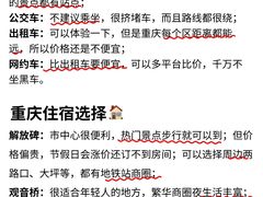 -仪表厂火锅(总店)