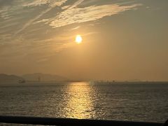 -演武大桥观景平台