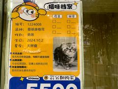 -屋虎猫馆(宝安大仟里店)