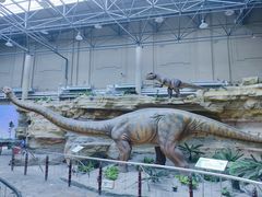 -国家自然博物馆