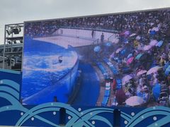 -上海海昌海洋公园
