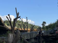 -宁波野生动物园