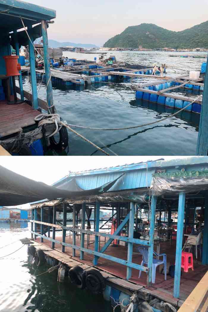 海上老陈鱼排餐厅