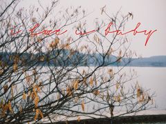 景观位-水上明月·湖景餐厅