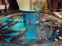 -魏铭鱼头捞饭(晋阳路店)