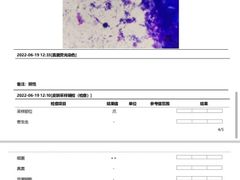 -芭比堂动物医院·24小时·眼科中心(深圳中心)