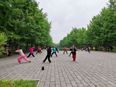 -玲珑塔公园