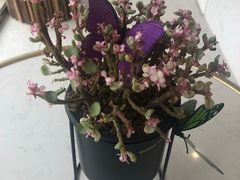 -桃梨花香(柳工颐华城店)