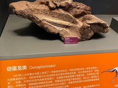 -贝林大翅鲸简餐厅(国家海洋博物馆店)