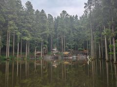 -波尔登森林公园