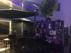 -苏州苏哥利酒店