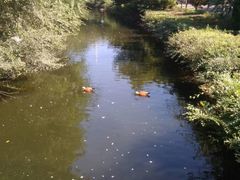 -长白岛森林公园