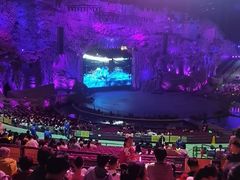-广州长隆国际大马戏
