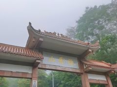 -缙云山景区