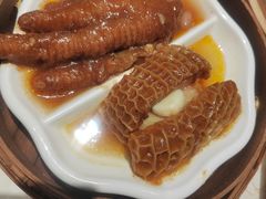 -点都德·毕德寮