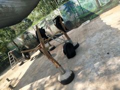 -秦岭欢乐世界