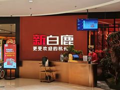 -新白鹿餐厅(湖滨银泰IN77C区店)