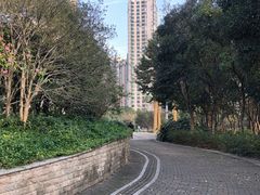 -苏州河梦清园环保主题公园