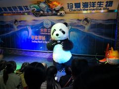 -成都浩海立方海洋公园