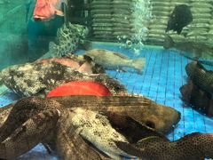 -聚福宝合苑食府(南头镇店)