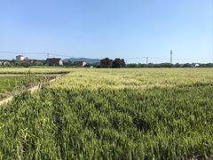 -苏州太湖国家湿地公园