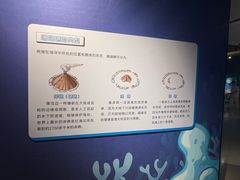 -温州博物馆