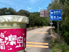 -南澳岛打卡果汁冰公司