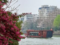 -运河游船(武林门码头)