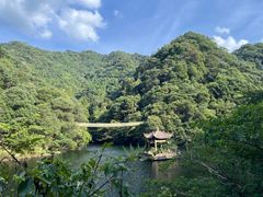 -宁海安岚·南溪阁全日餐厅