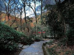 -岳麓山风景名胜区