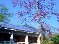 -广州中山纪念堂